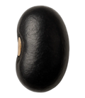 Bean, black