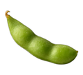 Bean, edamame