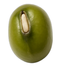Bean, mung