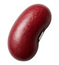 Bean, red