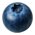 Blueberry