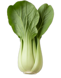 Bok choy