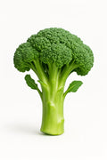 Broccoli sprout