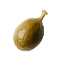 Caper