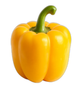 Capsicum, yellow