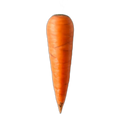 Carrot