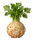 Celeriac