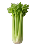 Celery