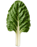 Chard