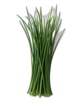 Chives