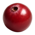 Cranberry