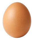 Egg