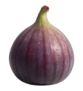Higo