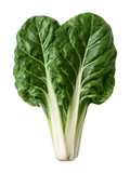 Silverbeet