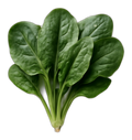 Spinach