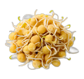 Lentil sprouts
