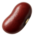 Bean, kidney