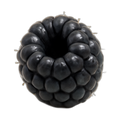 Raspberry, black