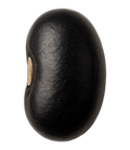 Bean, black