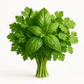Fresh herbs