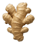 Ginger