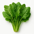 Greens