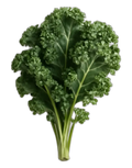 Kale
