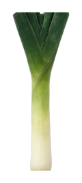 Leek