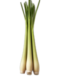 Lemongrass