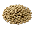 Lentils