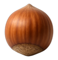 Nut, hazelnut