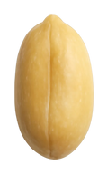 Nut, peanut
