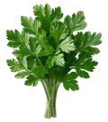 Parsley