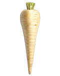 Parsnip