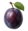 Plum