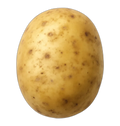 Pomme de terre, non épluchée
