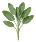 Sage