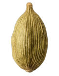 Seed, cardamom