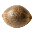 Seed, hemp