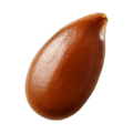 Seed, linseed or flaxseed