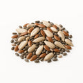 Seeds