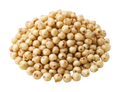 Sorghum