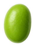 Soybean