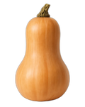 Squash