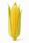 Sweet corn