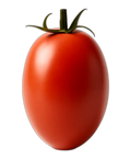 Tomato, roma