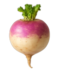 Turnip