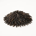 Wild rice